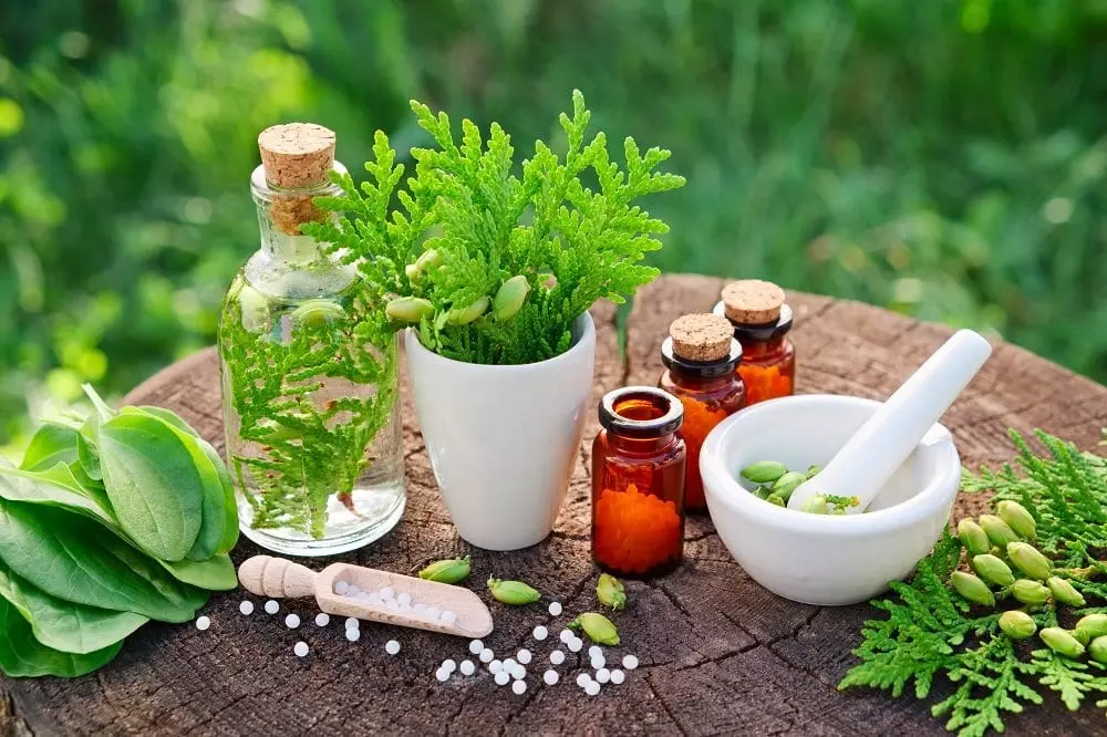 Herbciepscam