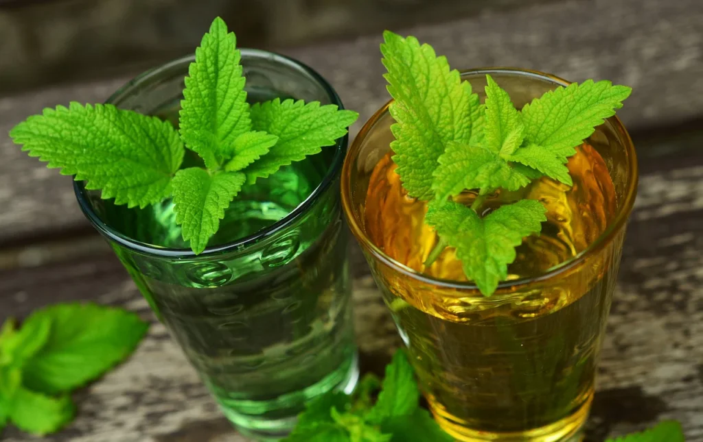 Lemon Balm Tea