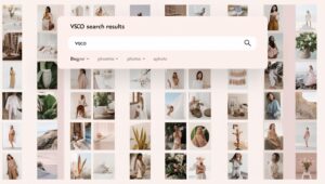 VSCO Search